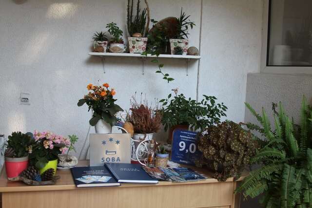 Апартаменты Apartments Bečić Будва-11